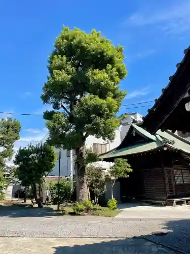 相応寺(神奈川県)