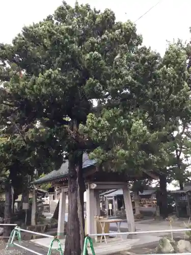 森戸大明神（森戸神社）(神奈川県)