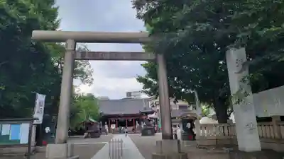 浅草神社の鳥居
