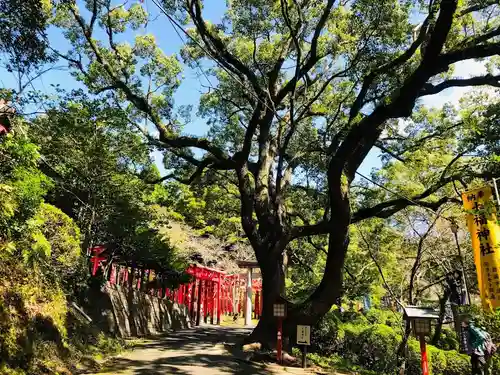 宮地嶽神社のその他建物
