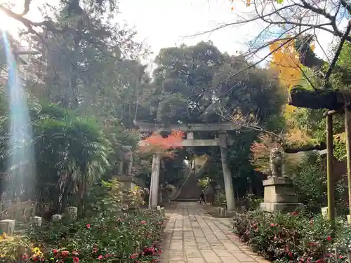 赤坂氷川神社の鳥居