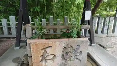 富部神社の手水舎