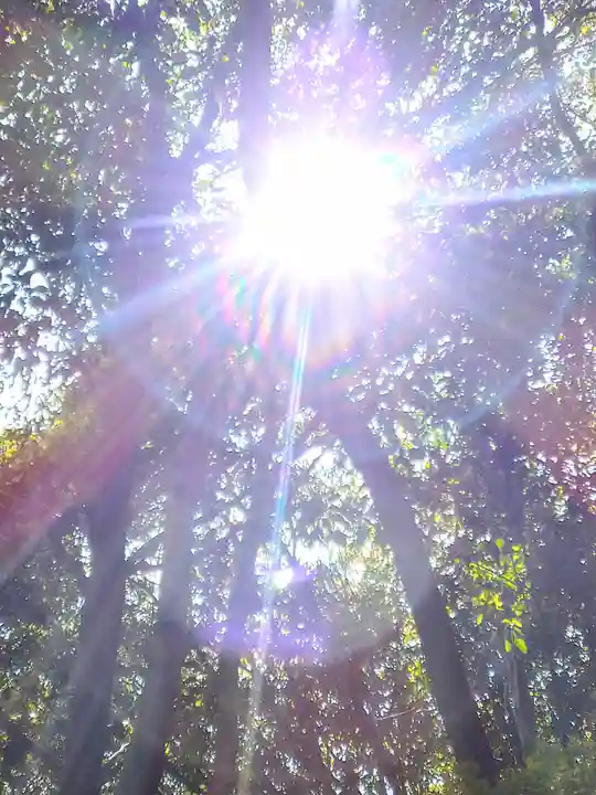 早瀧比咩神社(岡山県)