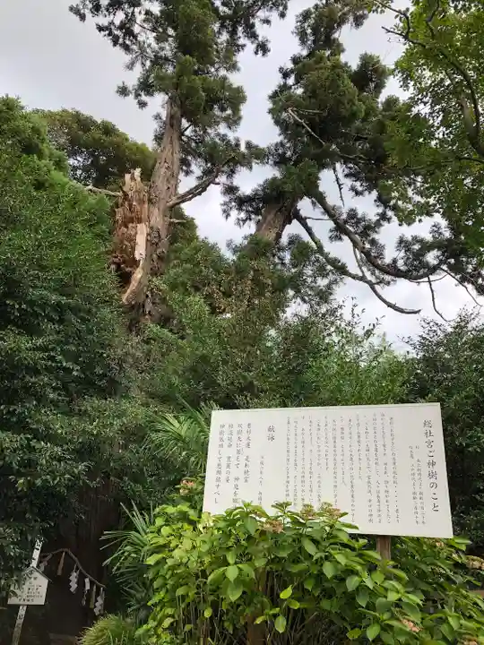 陸奥総社宮(宮城県)