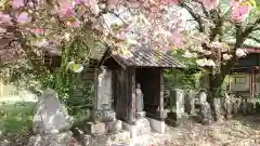 常泉寺の地蔵