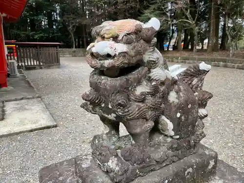 郡山八幡神社の狛犬