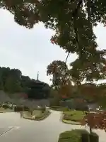 瑠璃光寺の{uncategorized: "未分類", other: "その他", undefined: "問題あり", building: "その他建物", grave: "お墓", sacred_gate: "鳥居", guardian: "狛犬", statue: "像", buddha: "仏像", history: "歴史", nature: "自然", garden: "庭園", animal: "動物", pagoda: "塔", temizu: "手水舎", mountain_gate: "山門・神門", sanctuary: "本殿・本堂", subordinate: "末社・摂社", art: "芸術", scenery: "景色", jizo: "地蔵", ema: "絵馬", goshuin: "御朱印", omikuji: "おみくじ", items: "授与品その他", amulet: "お守り", goshuincho: "御朱印帳", eats: "食事", festival: "お祭り", votive_dance: "神楽", shichigosan: "七五三参", wedding: "結婚式", experience: "体験その他", initially: "初詣", around: "周辺", anti_infection: "感染症対策"}