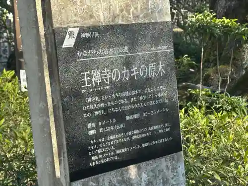 王禅寺の{uncategorized: "未分類", other: "その他", undefined: "問題あり", building: "その他建物", grave: "お墓", sacred_gate: "鳥居", guardian: "狛犬", statue: "像", buddha: "仏像", history: "歴史", nature: "自然", garden: "庭園", animal: "動物", pagoda: "塔", temizu: "手水舎", mountain_gate: "山門・神門", sanctuary: "本殿・本堂", subordinate: "末社・摂社", art: "芸術", scenery: "景色", jizo: "地蔵", ema: "絵馬", goshuin: "御朱印", omikuji: "おみくじ", items: "授与品その他", amulet: "お守り", goshuincho: "御朱印帳", eats: "食事", festival: "お祭り", votive_dance: "神楽", shichigosan: "七五三参", wedding: "結婚式", experience: "体験その他", initially: "初詣", around: "周辺", anti_infection: "感染症対策"}