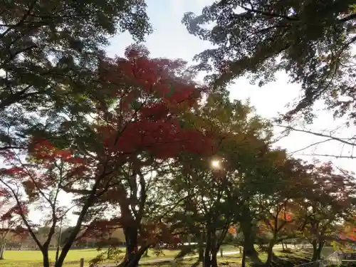 東大寺の自然