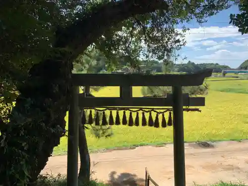 浅間神社の鳥居