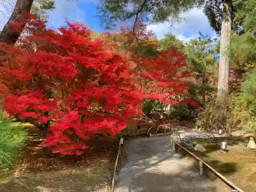 宝厳院(京都府)