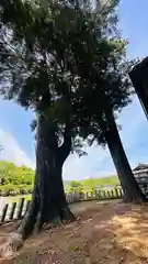 一原神社(京都府)