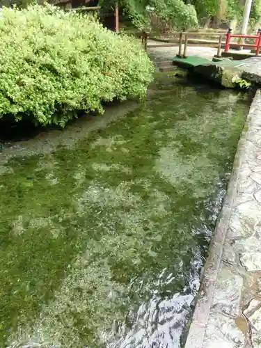 白川吉見神社の庭園