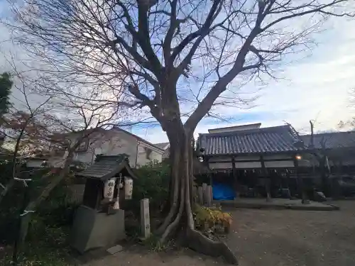 式内楯原神社(大阪府)