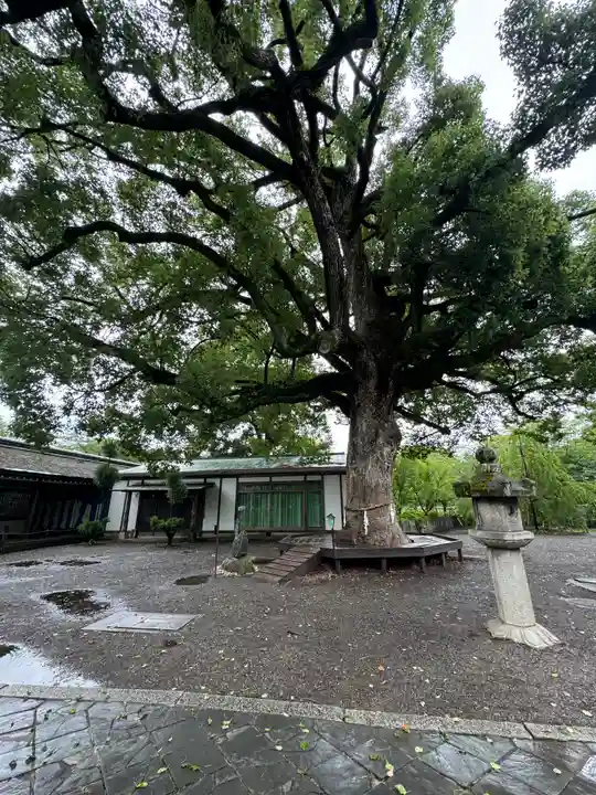 平野神社(京都府)