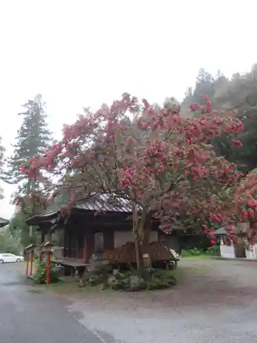 満願寺のその他建物