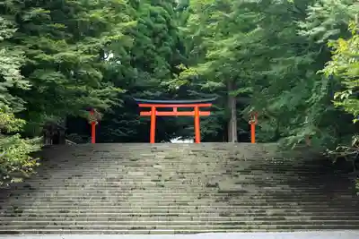 霧島神宮(鹿児島県)