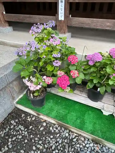 能護寺(埼玉県)