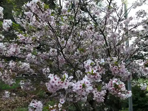 奈具神社の自然