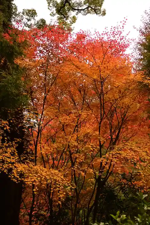 星谷寺(徳島県)