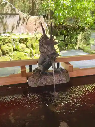 箱根神社の手水舎
