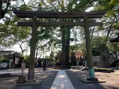 亀岡八幡宮（亀岡八幡神社）の鳥居