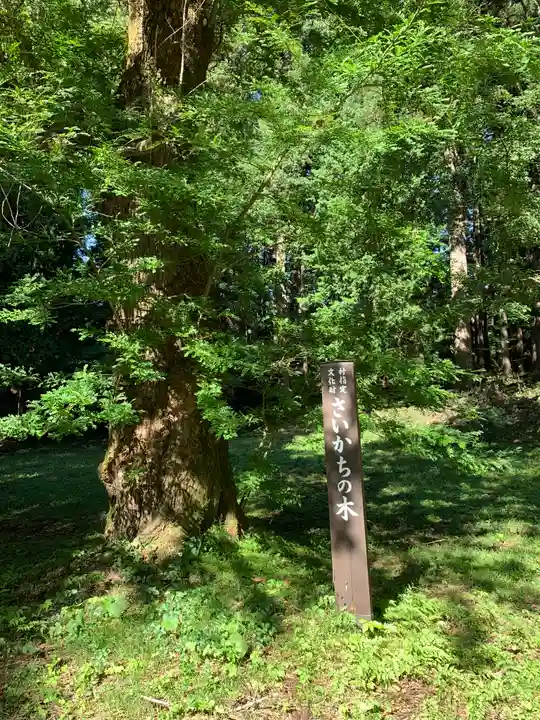 春日神社(福島県)