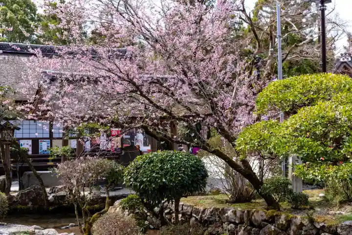 賀茂別雷神社(上賀茂神社)(京都府)