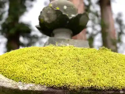古町豊受大神宮(長野県)