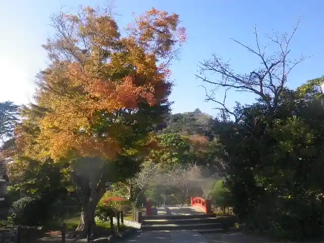 鶴岡八幡宮の自然