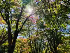 土津神社｜こどもと出世の神さまの自然