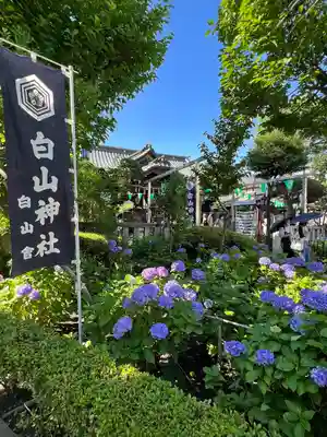 白山神社(東京都)