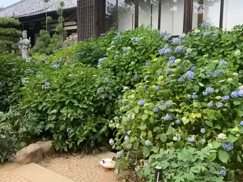 楽法寺（雨引観音）の庭園