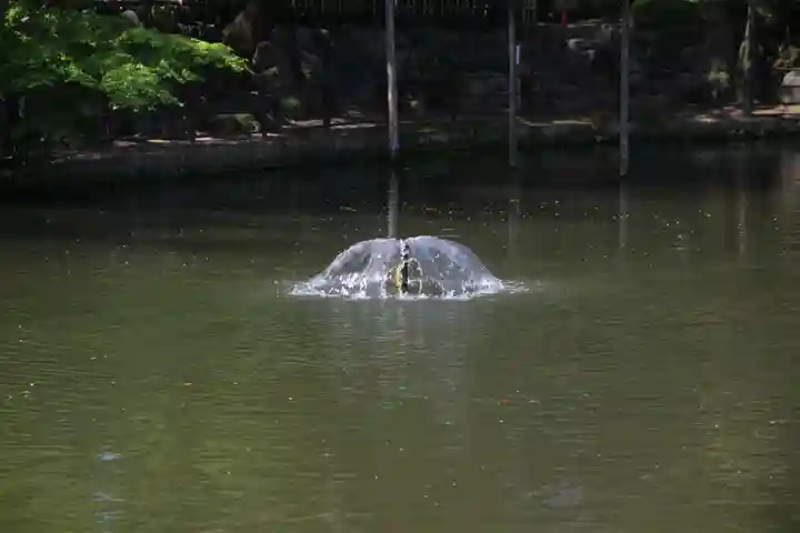 越ヶ谷久伊豆神社(埼玉県)