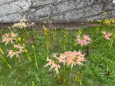 横浜　西方寺(神奈川県)