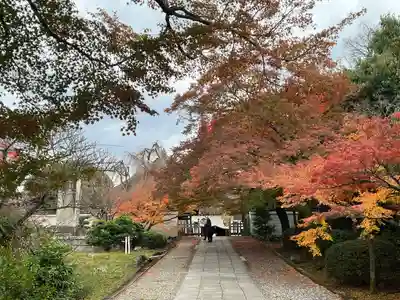 養源院(京都府)