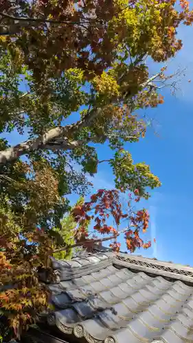 正法寺(京都府)