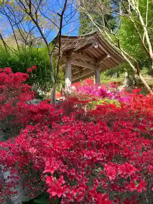 忉利天上寺(兵庫県)
