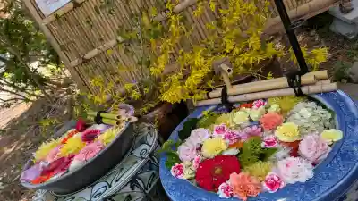 多賀神社の手水舎