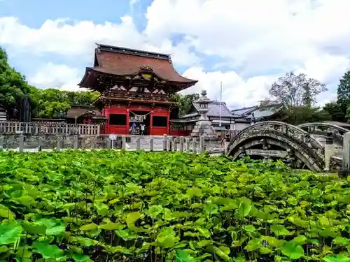 伊賀八幡宮の庭園