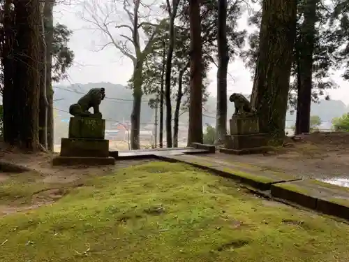 白駒神社の狛犬