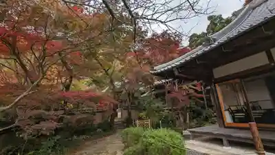 勝持寺（花の寺）(京都府)