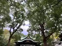 王子神社の自然