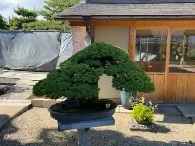 芳春院(京都府)