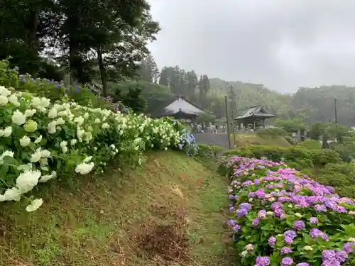 妙提寺の自然