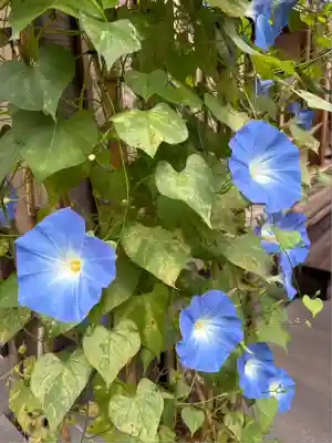 円通院(宮城県)