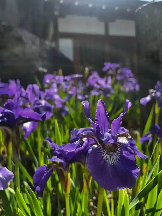 松本山 地福禅寺(滋賀県)