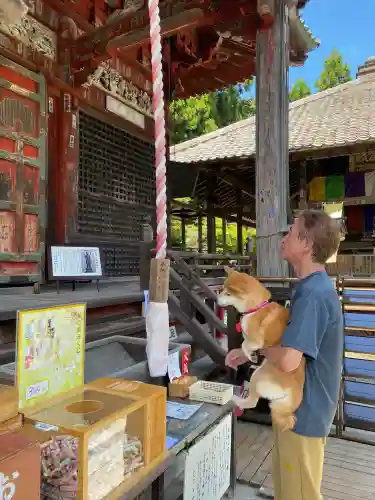 秩父札所１番　四萬部寺(埼玉県)