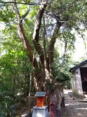 津八幡宮(三重県)