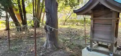 三柱神社(福岡県)
